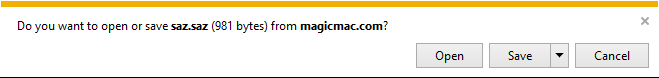 IE Warning